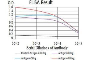 Black line: Control Antigen (100 ng);Purple line: Antigen (10ng); Blue line: Antigen (50 ng); Red line:Antigen (100 ng) (IDH1 antibody  (AA 156-298))
