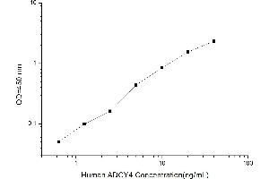 ADCY4 ELISA Kit