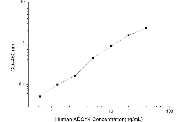 ADCY4 ELISA Kit