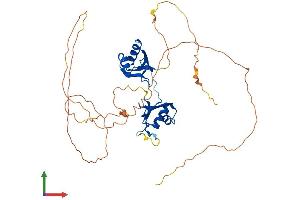 AlphaFold protein structure predicition of Mouse Recombinant Rbms3 Protein, UniprotID Q8BWL5
