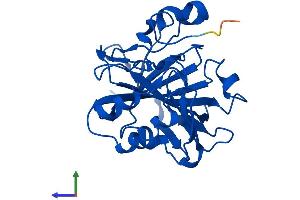 AlphaFold protein structure predicition of Mouse Recombinant Ca13 Protein, UniprotID Q9D6N1