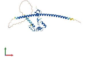AlphaFold protein structure predicition of Mouse Recombinant Fam76a Protein, UniprotID Q922G2
