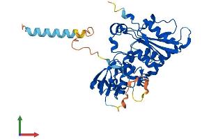AlphaFold protein structure predicition of Human Recombinant FUT1 Protein, UniprotID P19526 (FUT1 Protein (AA 1-365) (His tag))