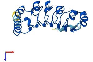 Leucine Rich Repeat Containing 20 (LRRC20) (AA 1-184) protein (His tag)