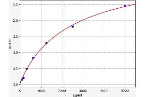 phosphodiesterase 4B, cAMP-Specific (PDE4B) ELISA Kit