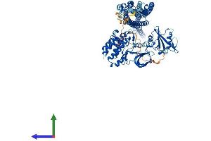 Protein Structure (PS) image for Feline Sarcoma Oncogene (FES) (AA 1-822) protein (His tag) (ABIN7562908)