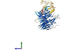 AlphaFold protein structure predicition of Human Recombinant RAG2 Protein, UniprotID P55895 (RAG2 Protein (AA 1-527) (His tag))