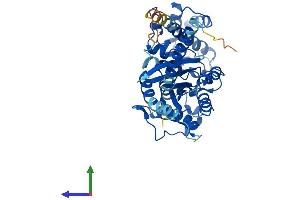 AlphaFold protein structure predicition of Human Recombinant GNAS Protein, UniprotID P63092