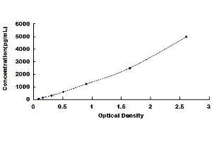 Annexin a1 ELISA Kit