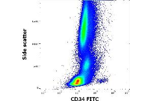 Flow cytometry surface staining pattern of human peripheral whole blood stained using anti-human CD34 (4H11[APG]) FITC antibody (20 μL reagent / 100 μL of peripheral whole blood). (CD34 antibody  (FITC))
