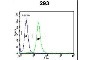 LMBR1L Antibody (C-term) (ABIN653751 and ABIN2843051) flow cytometric analysis of 293 cells (right histogram) compared to a negative control cell (left histogram). (LMBR1L antibody  (C-Term))