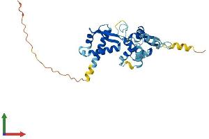 AlphaFold protein structure predicition of Human Recombinant MAGEB5 Protein, UniprotID Q9BZ81 (MAGEB5 Protein (AA 1-275) (His tag))