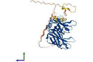AlphaFold protein structure predicition of Human Recombinant DOC2A Protein, UniprotID Q14183