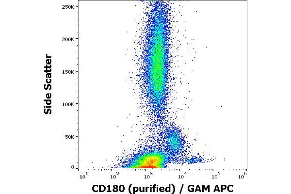 CD180 antibody