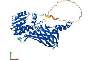 AlphaFold protein structure predicition of Mouse Recombinant Prmt6 Protein, UniprotID Q6NZB1 (PRMT6 Protein (AA 1-378) (His tag))