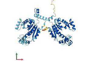 Protein Structure (PS) image for Adenylate Kinase 8 (AK8) (AA 1-479) protein (His tag) (ABIN7548621)