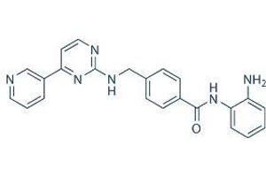 / (Mocetinostat)