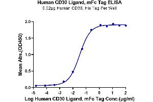 Immobilized Human CD30, His Tag at 0. (TNFSF8 Protein (AA 63-234) (mFc Tag))