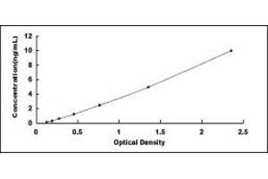 Typical standard curve (SLFN5 ELISA Kit)