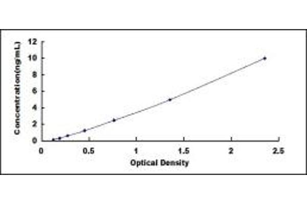 SLFN5 ELISA Kit