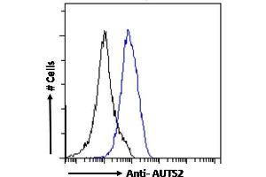 ABIN308459 Flow cytometric analysis of paraformaldehyde fixed A431 cells (blue line), permeabilized with 0. (AUTS2 antibody  (C-Term))