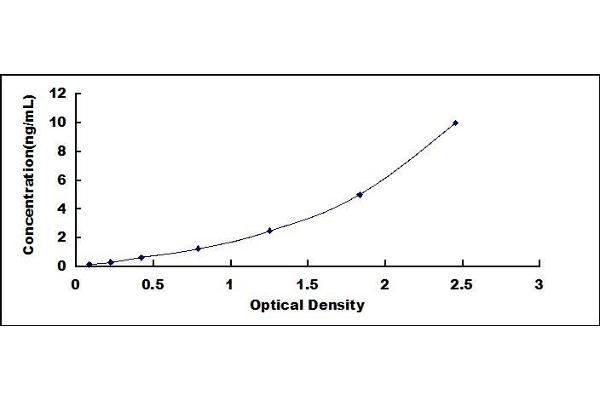 Annexin A2 ELISA Kit