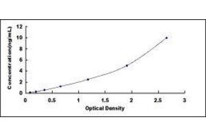 BMP Binding Endothelial Regulator (BMPER) ELISA Kit