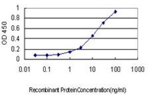Detection limit for recombinant GST tagged RIOK3 is approximately 0. (RIOK3 antibody  (AA 1-516))