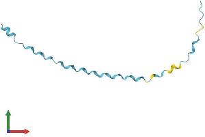 Protein Structure (PS) image for Small Proline-Rich Protein 2E (SPRR2E) (AA 1-76) protein (Fc Tag) (ABIN7562566)