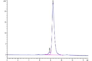 Size-exclusion chromatography-High Pressure Liquid Chromatography (SEC-HPLC) image for CD3E & CD3G (AA 23-120) protein (His tag,Biotin) (ABIN7274145)