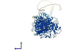 Protein Structure (PS) image for Ectonucleotide Pyrophosphatase/phosphodiesterase 1 (ENPP1) (AA 1-906) protein (His tag) (ABIN7562750)
