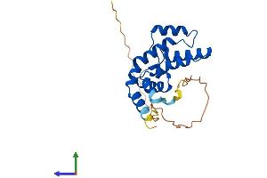 AlphaFold protein structure predicition of Mouse Recombinant Rgs17 Protein, UniprotID Q9QZB0 (RGS17 Protein (AA 1-210) (His tag))