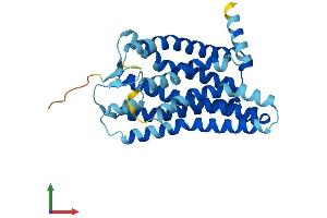 AlphaFold protein structure predicition of Human Recombinant OR1A1 Protein, UniprotID Q9P1Q5 (OR1A1 Protein (AA 1-309) (His tag))
