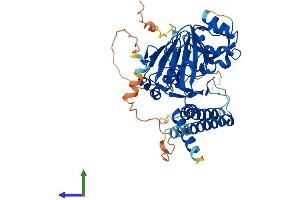 AlphaFold protein structure predicition of Mouse Recombinant Hspbap1 Protein, UniprotID Q8BK58 (HSPBAP1 Protein (AA 1-483) (His tag))