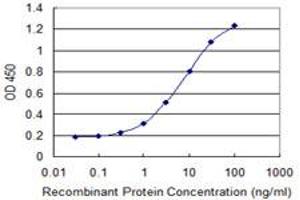 Detection limit for recombinant GST tagged DDO is 0. (DDO antibody  (AA 270-369))