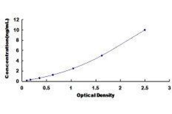 SLC30A8 ELISA Kit