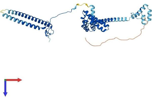 CDC37 Protein (AA 1-379) (His tag)