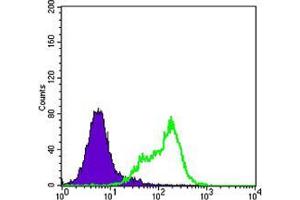 Flow cytometric analysis of Hela cells using THAP11 mouse mAb (green) and negative control (purple). (THAP11 antibody)