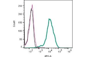Cell surface detection of CCR3 by indirect flow cytometry in live intact human KU812 basophilic leukemia cell line: + goat-anti-rabbit-APC.