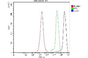 Flow Cytometry analysis of Jurkat cells using anti-Calmegin/CLGN antibody (ABIN7601481).