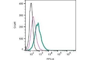 Cell surface detection of Kappa Opioid Receptor by direct flow cytometry in live intact mouse J774 macrophage cell line: + Rabbit IgG Isotype Control-FITC (ABIN7582044).
