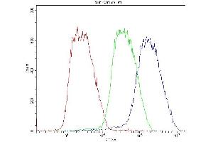 anti-Bone Morphogenetic Protein 6 (BMP6) (AA 383-419), (C-Term) antibody