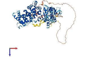 AlphaFold protein structure predicition of Human Recombinant TBC1D23 Protein, UniprotID Q9NUY8