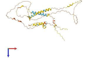 AlphaFold protein structure predicition of Human Recombinant C5orf60 Protein, UniprotID A6NFR6 (C5ORF60 Protein (AA 1-353) (His tag))