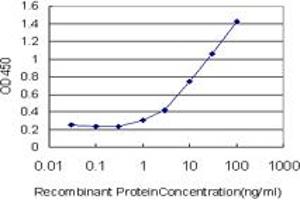Detection limit for recombinant GST tagged EPHB6 is approximately 1ng/ml as a capture antibody. (EPH Receptor B6 antibody  (AA 23-122))