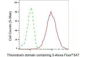 Flow cytometric analysis of Thioredoxin domain containing 5 expression in HepG2 cells using Thioredoxin domain containing 5 antibody ( (ABIN7800541), 1:2,000). (TXNDC5 antibody)