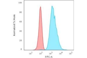 Flow Cytometric Analysis of HeLa cells using Cytokeratin 8 Mouse Monoclonal Antibody (H1) followed by Goat anti-Mouse IgG-CF488 (Blue); Isotype Control (Red). (KRT8 antibody)