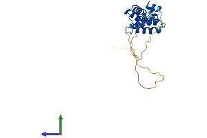 AlphaFold protein structure predicition of Mouse Recombinant Rgs4 Protein, UniprotID O08899 (RGS4 Protein (AA 1-205) (His tag))