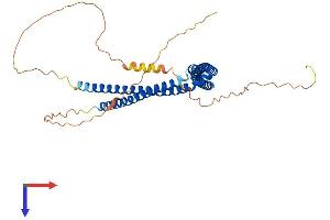 AlphaFold protein structure predicition of Human Recombinant SH3BP5L Protein, UniprotID Q7L8J4 (SH3BP5L Protein (AA 1-393) (His tag))