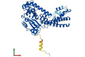 AlphaFold protein structure predicition of Mouse Recombinant Setd4 Protein, UniprotID P58467 (SETD4 Protein (AA 1-439) (His tag))